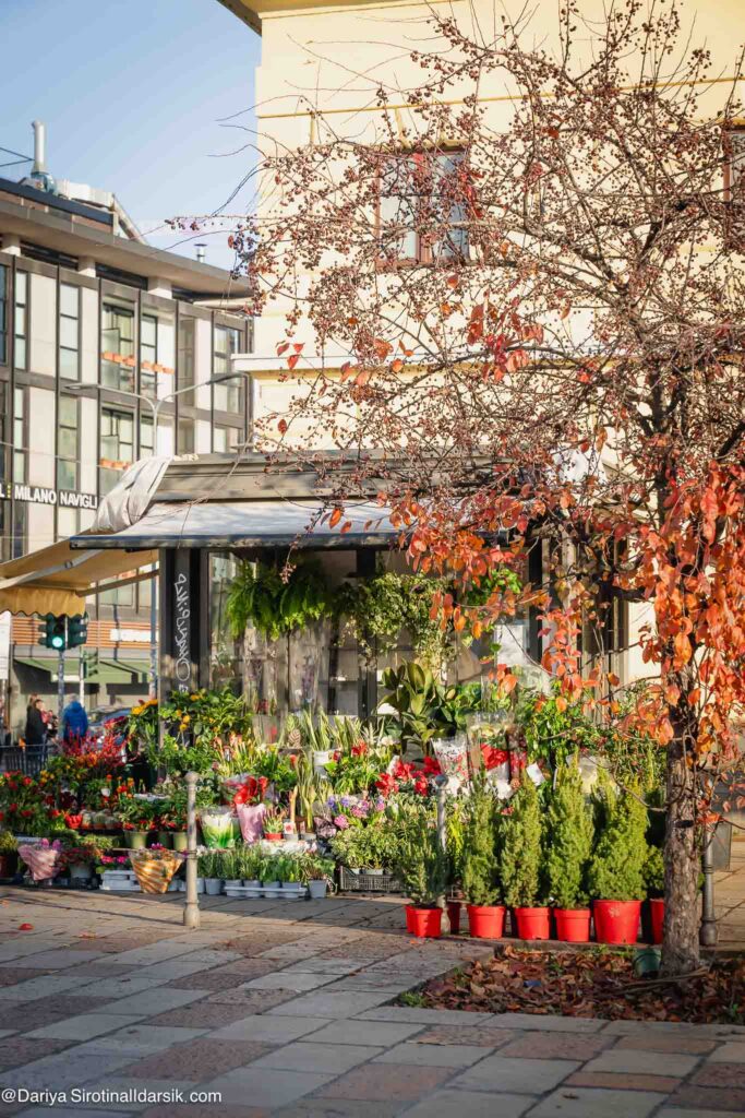 Промышленная архитектура зоны Тортона-Савона, преобразованная в культурный кластер