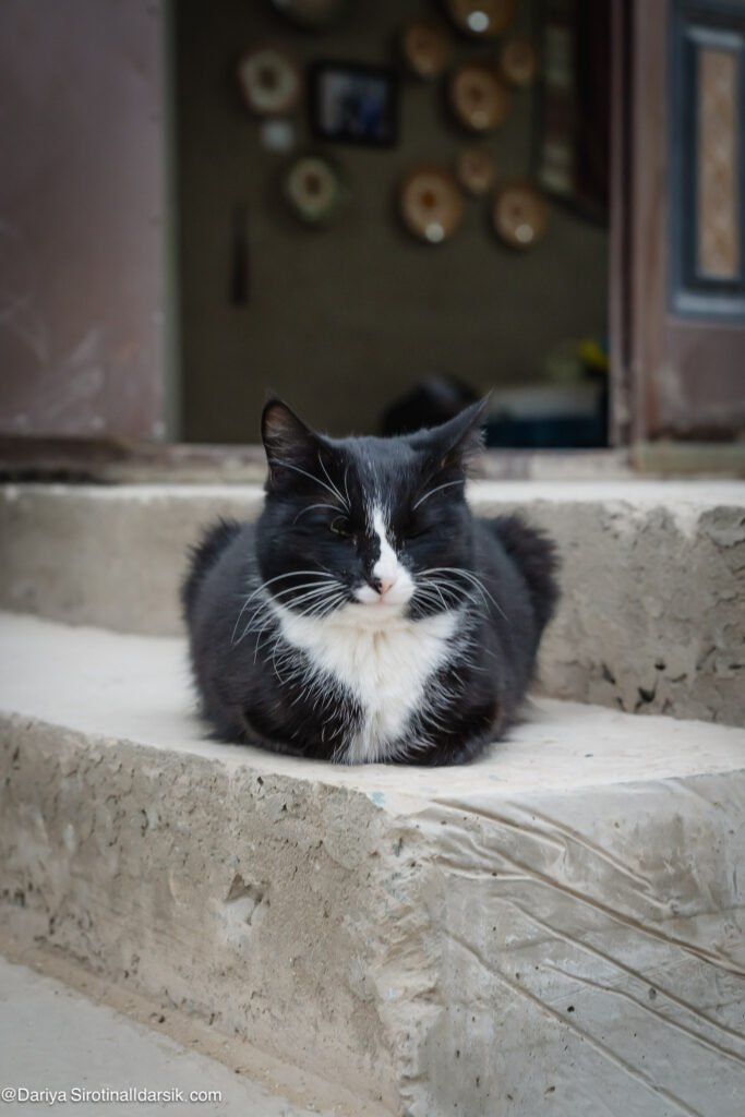 керамика Каракалпакстан мастерская Шанарак